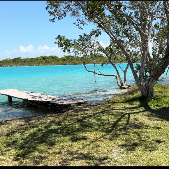 Meet your Posher, Emmy’s Edit - Picture 14 of 16